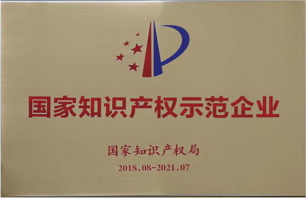 国度知识产权示范企业