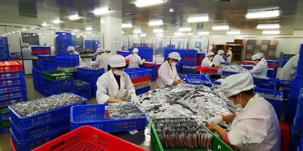 壹定发·(EDF)最新官方网站