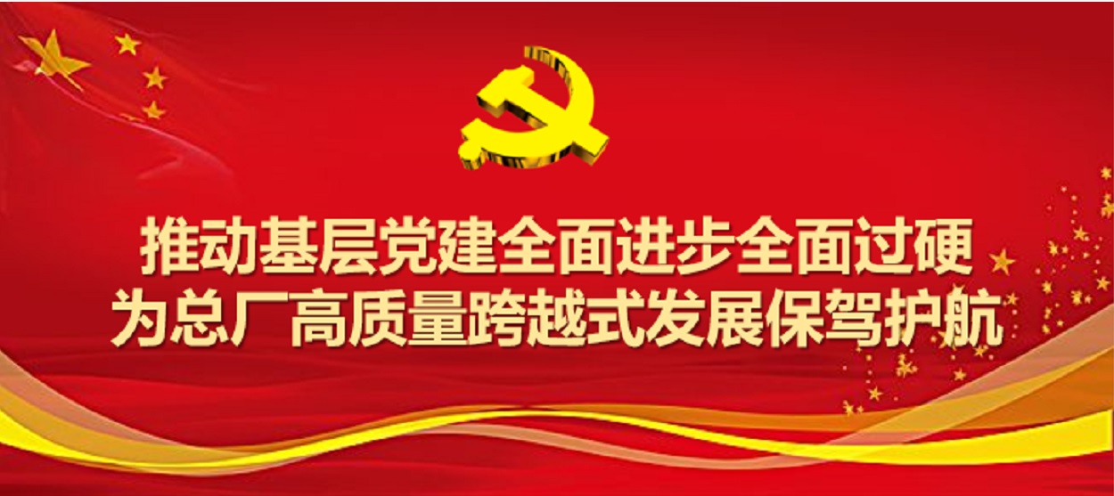 壹定发圆满实现2019年度党支部工作及党支部书记考评工作