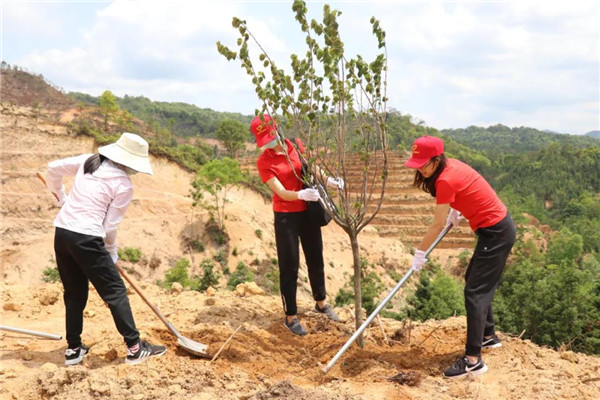 壹定发·(EDF)最新官方网站