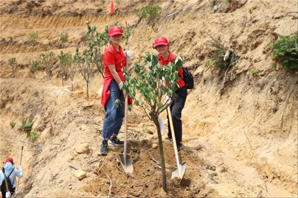 壹定发·(EDF)最新官方网站
