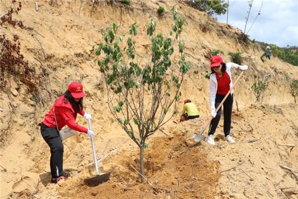 壹定发·(EDF)最新官方网站