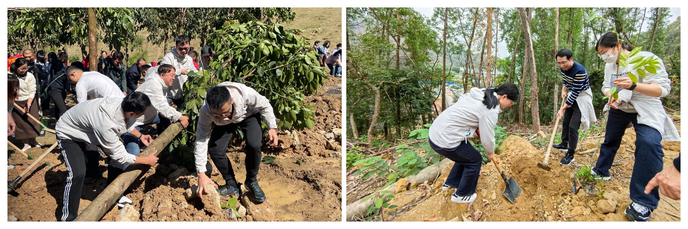 壹定发·(EDF)最新官方网站